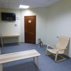 Hostel Tambovsky Volk интерьер отеля