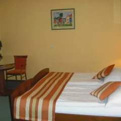Hotel Sant Georg 4* Стандартный номер с различными типами кроватей фото 6