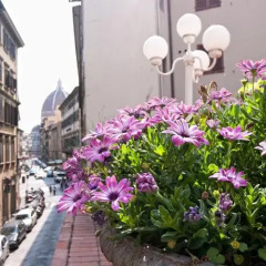 Отель Balcony Италия, Флоренция - отзывы, цены и фото номеров - забронировать отель Balcony онлайн фото 5
