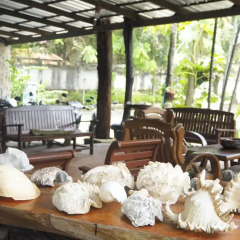 Отель Lanta Palace Resort And Beach Club Таиланд, Ланта - 1 отзыв об отеле, цены и фото номеров - забронировать отель Lanta Palace Resort And Beach Club онлайн с домашними животными