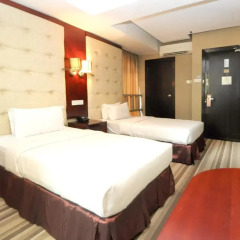Celyn City Hotel 2* Номер Делюкс с различными типами кроватей
