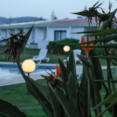 Hotel Apartamento do Golfe балкон