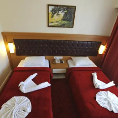 Forest Park Hotel 3* Стандартный номер с двуспальной кроватью фото 19