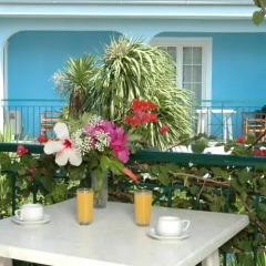 Отель Sofia's Hotel Греция, Каламаки - отзывы, цены и фото номеров - забронировать отель Sofia's Hotel онлайн фото 6