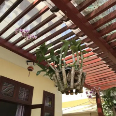 Отель Qua Cam Tim Homestay Хойан интерьер отеля фото 3