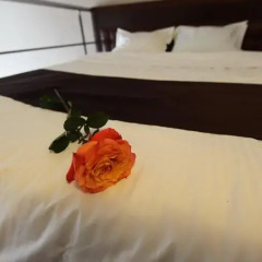 Гостиница Одесса Executive Suites 3* Полулюкс с различными типами кроватей фото 4