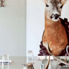 Hotel St Moritz, Queenstown - MGallery Collection с домашними животными