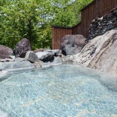Отель Lodge Karunaju & The Alpine Grill Хакуба бассейн фото 2