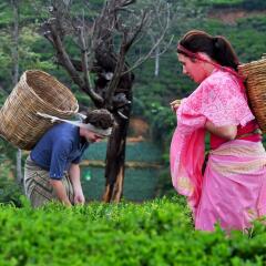Отель Heritance Tea Factory Нувара-Элия спортивное сооружение