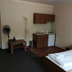 Апартаменты Apartments U Svejku Апартаменты с различными типами кроватей фото 9