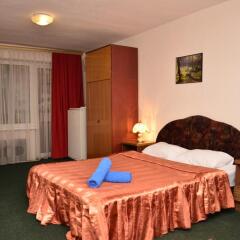 Mini Hotel Vesna Семейные номера Комфорт с двуспальной кроватью фото 6