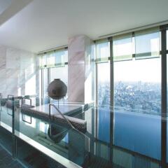 Отель Mandarin Oriental Tokyo Токио бассейн фото 2