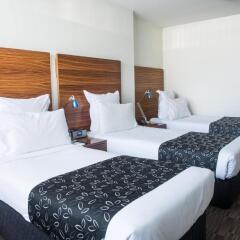 Cambridge Hotel Sydney комната для гостей фото 4