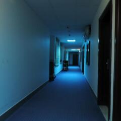 Отель AL Raien Hotel Apartment ОАЭ, Дубай - отзывы, цены и фото номеров - забронировать отель AL Raien Hotel Apartment онлайн интерьер отеля фото 2