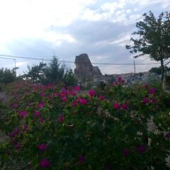 Отель Kapadokya Karşı Bağ Camping Ургуп фото 10