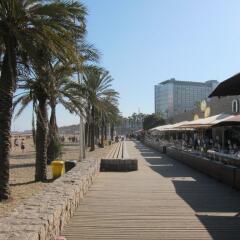 Отель Barceloneta Studios 3* Студия фото 3