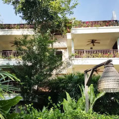 Отель Birds & Bees Resort 3* Стандартный номер с двуспальной кроватью фото 10
