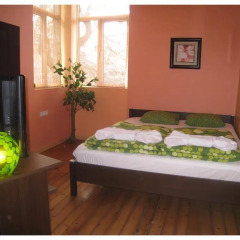 Elegance Hostel and Guesthouse Стандартный номер с различными типами кроватей фото 6