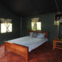 Отель Yala Peocok Camping Номер Делюкс с различными типами кроватей фото 3
