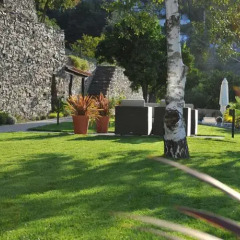 Отель Quinta da Palmeira - Country House Retreat & Spa детские мероприятия фото 2