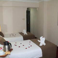 Hotel Büyük Sahinler 4* Номер категории Эконом с различными типами кроватей фото 8