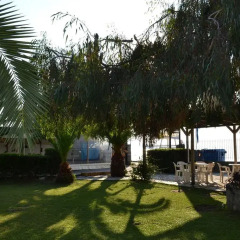 Отель Regos Resort Hotel Греция, Ситония - отзывы, цены и фото номеров - забронировать отель Regos Resort Hotel онлайн фото 2