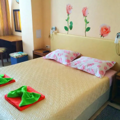 Гостиница Svetlana Apartment в Сочи отзывы, цены и фото номеров - забронировать гостиницу Svetlana Apartment онлайн детские мероприятия фото 2
