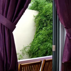 Отель Purple Garden Homestay 2* Стандартный семейный номер с двуспальной кроватью фото 4