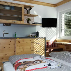 Отель Tischlmühle Appartements & mehr Студия с различными типами кроватей фото 13