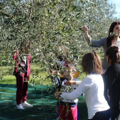 Отель Casale Fusco Сполето помещение для мероприятий
