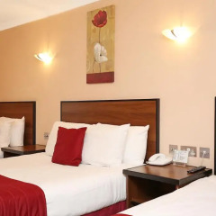Elysee Hotel 3* Стандартный номер с 2 отдельными кроватями