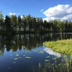 Отель Juhla & Kokoustila Haukilampi фото 3