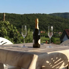 Апартаменты Bonini Apartments - Adults Only