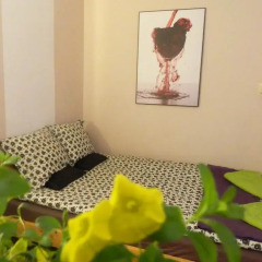 Отель Lama Rooms детские мероприятия
