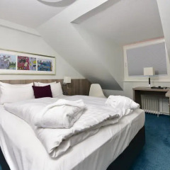 Frühlings-Hotel 3* Номер Делюкс с различными типами кроватей фото 5