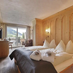 ERMITAGE Wellness- & Spa-Hotel 5* Стандартный номер с 2 отдельными кроватями