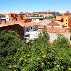 Отель Apartamentos Cinco Rosas
