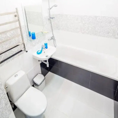 Гостиница Do Lvova Central Apartments Украина, Львов - отзывы, цены и фото номеров - забронировать гостиницу Do Lvova Central Apartments онлайн ванная