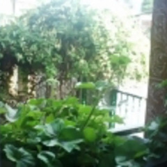 Shans 2 Hostel Стандартный номер с 2 отдельными кроватями фото 12