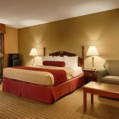 Отель Best Western Vicksburg Inn 2* Стандартный номер с различными типами кроватей фото 19