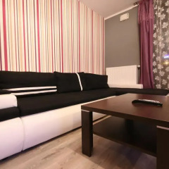 Отель Oxygen apartments Польша, Варшава - отзывы, цены и фото номеров - забронировать отель Oxygen apartments онлайн комната для гостей фото 3