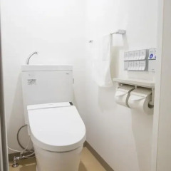 HOTEL FUKURACIA Harumi 3* Номер Делюкс с различными типами кроватей фото 6