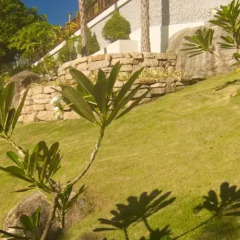 Отель Bans Diving Resort Таиланд, Остров Тау - отзывы, цены и фото номеров - забронировать отель Bans Diving Resort онлайн фото 6