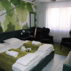 Green Hotel Budapest 4* Стандартный номер с двуспальной кроватью фото 5