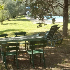 Отель Agriturismo Cerroni Montescudaio Монтескудаио детские мероприятия