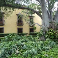 Отель Hacienda de Los Santos фото 10