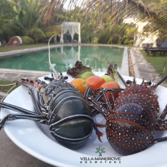 Отель Villa Mangrove Унаватуна бассейн фото 3