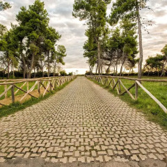 Отель Villa Elena Италия, Монтезильвано - отзывы, цены и фото номеров - забронировать отель Villa Elena онлайн пляж фото 2