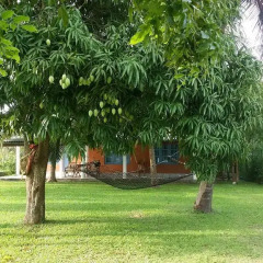 Отель Wewa Addara Guesthouse Шри-Ланка, Тиссамахарама - отзывы, цены и фото номеров - забронировать отель Wewa Addara Guesthouse онлайн