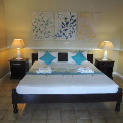Hotel La Roussette 3* Улучшенный номер с различными типами кроватей фото 5